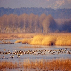 Agriturismo_caminetto_Toscana