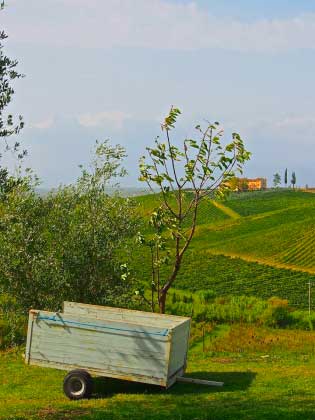 Agriturismo_collina_Firenze