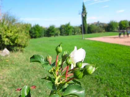 agriturismo_campagna_toscana