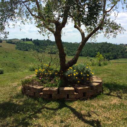 Agriturismo_collina_Firenze