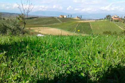 Agriturismo_collina_Firenze