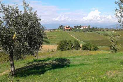 Agriturismo_collina_Firenze