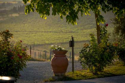 Agriturismo_collina_Firenze