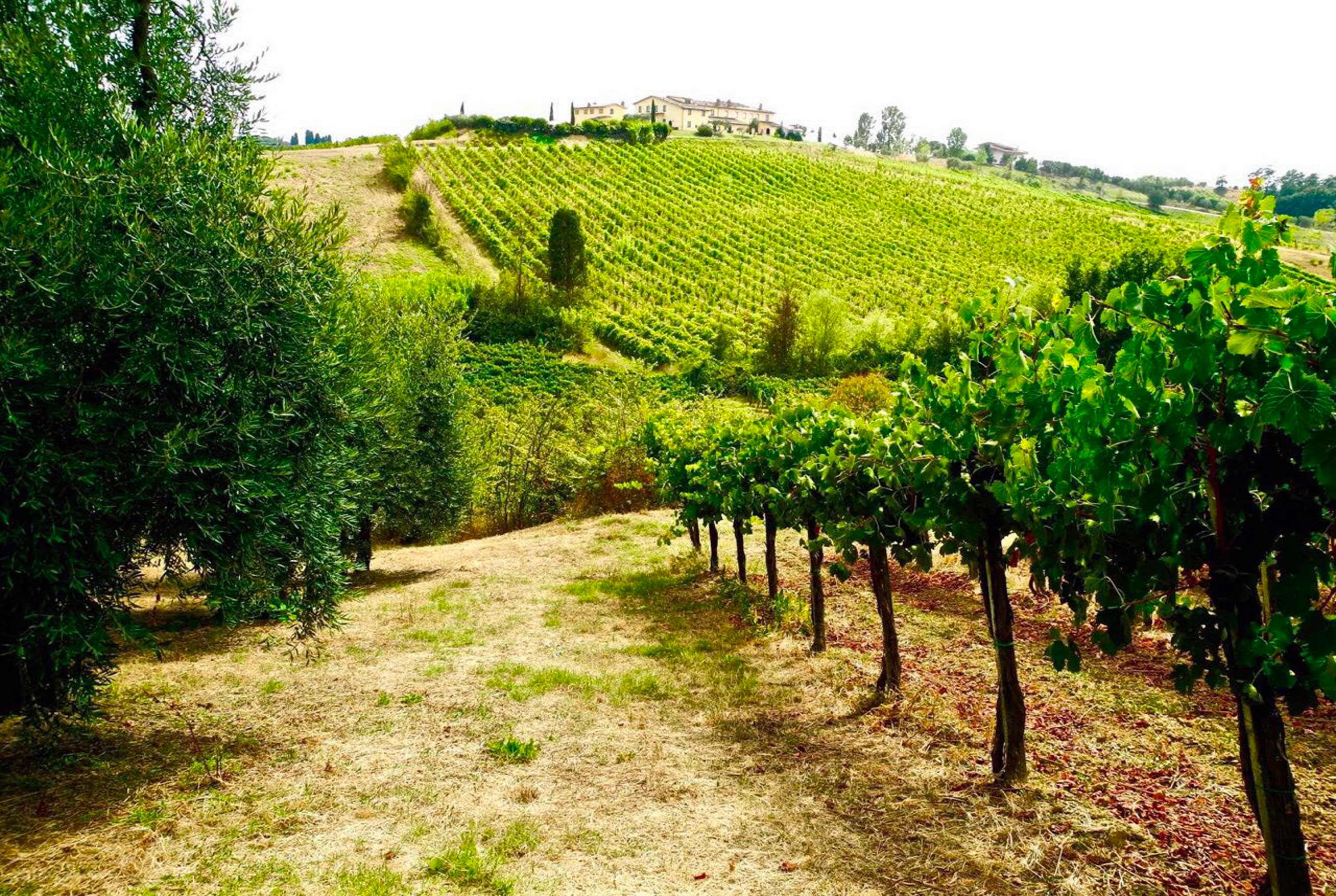 farm tour tuscany