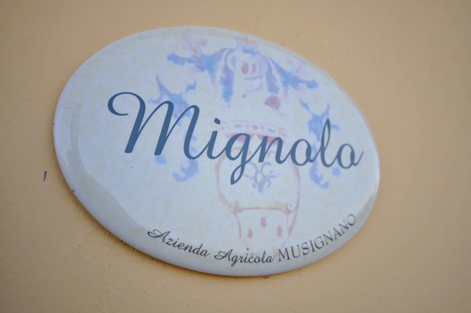mignolo_1