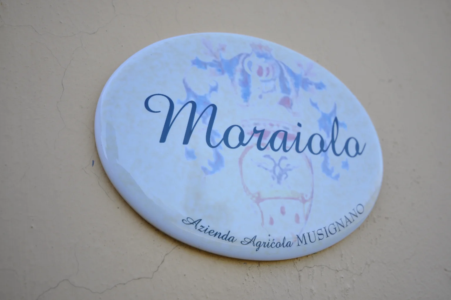 moraiolo_2